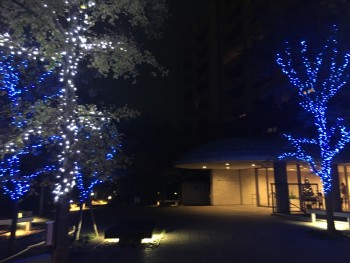 イルミネーションが綺麗な会場でした